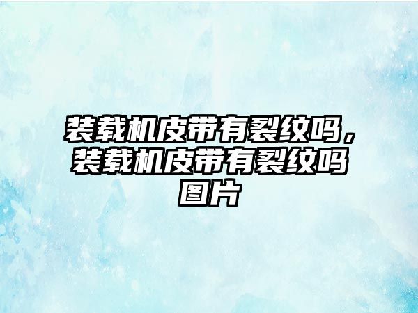 裝載機皮帶有裂紋嗎，裝載機皮帶有裂紋嗎圖片