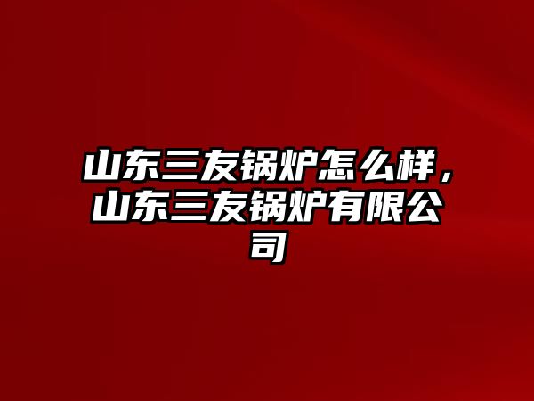 山東三友鍋爐怎么樣，山東三友鍋爐有限公司