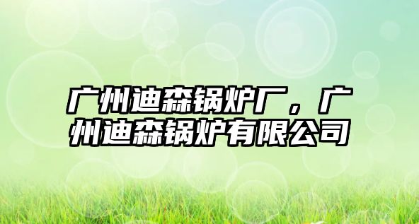 廣州迪森鍋爐廠，廣州迪森鍋爐有限公司