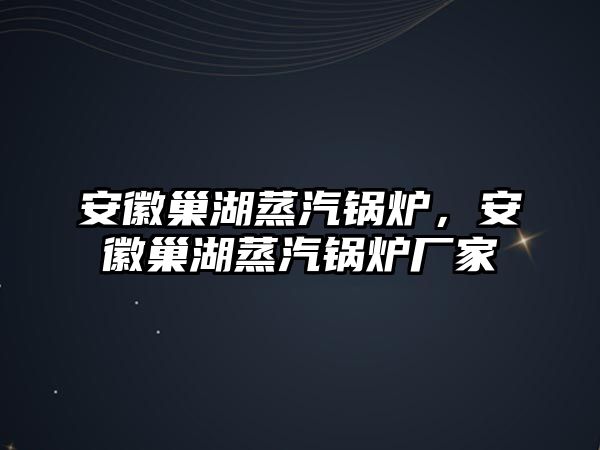 安徽巢湖蒸汽鍋爐，安徽巢湖蒸汽鍋爐廠家