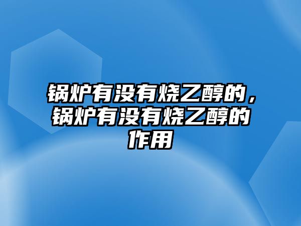 鍋爐有沒(méi)有燒乙醇的，鍋爐有沒(méi)有燒乙醇的作用