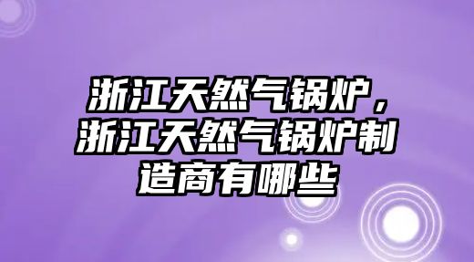 浙江天然氣鍋爐，浙江天然氣鍋爐制造商有哪些