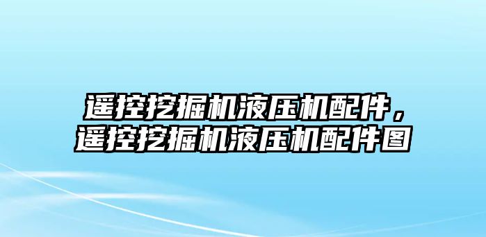 遙控挖掘機(jī)液壓機(jī)配件，遙控挖掘機(jī)液壓機(jī)配件圖