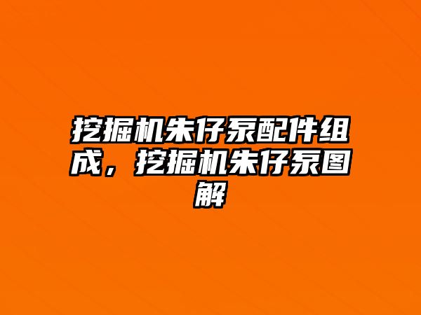 挖掘機朱仔泵配件組成，挖掘機朱仔泵圖解