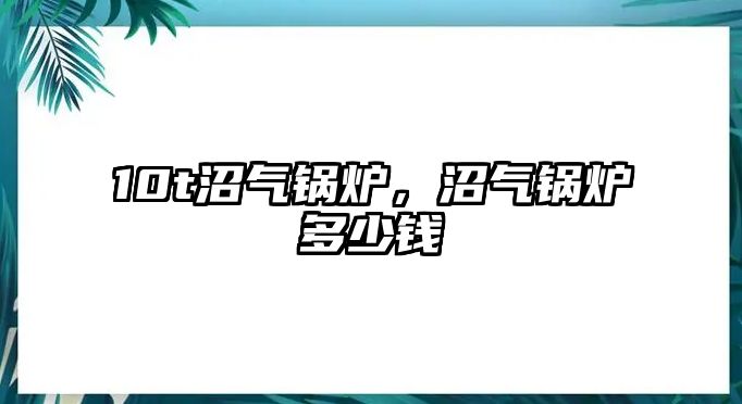 10t沼氣鍋爐，沼氣鍋爐多少錢