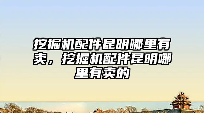 挖掘機配件昆明哪里有賣，挖掘機配件昆明哪里有賣的