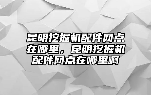 昆明挖掘機(jī)配件網(wǎng)點(diǎn)在哪里，昆明挖掘機(jī)配件網(wǎng)點(diǎn)在哪里啊