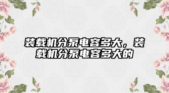 裝載機分泵電容多大，裝載機分泵電容多大的