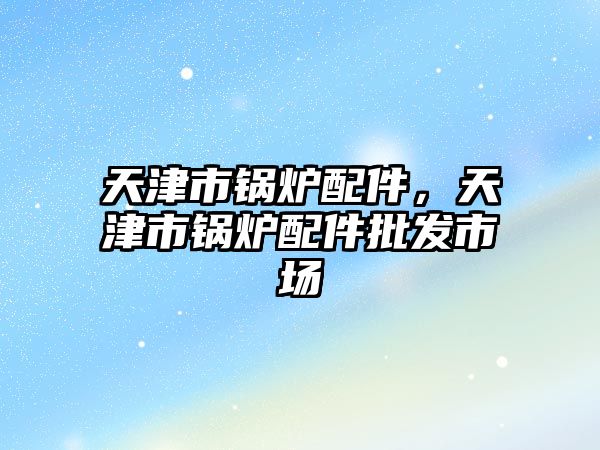 天津市鍋爐配件，天津市鍋爐配件批發(fā)市場