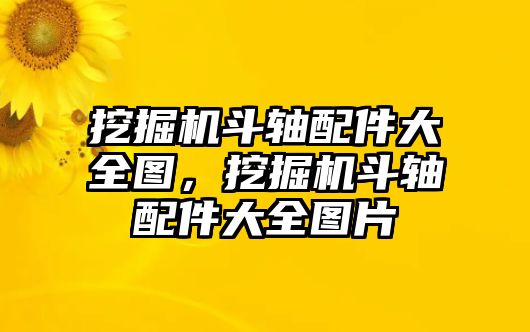 挖掘機斗軸配件大全圖，挖掘機斗軸配件大全圖片