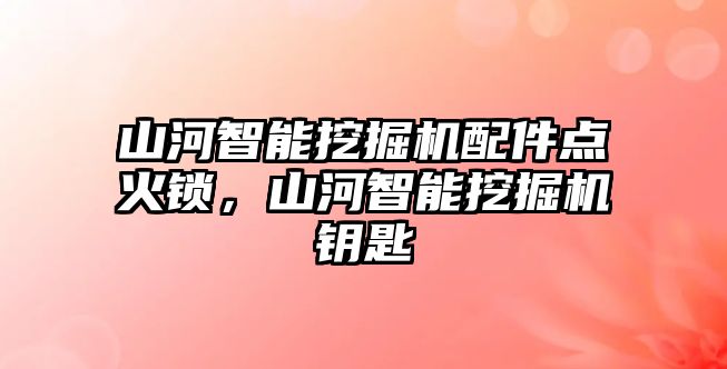 山河智能挖掘機配件點火鎖，山河智能挖掘機鑰匙