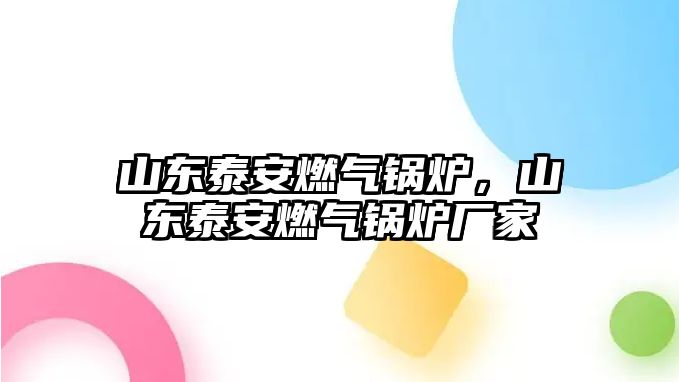 山東泰安燃?xì)忮仩t，山東泰安燃?xì)忮仩t廠家