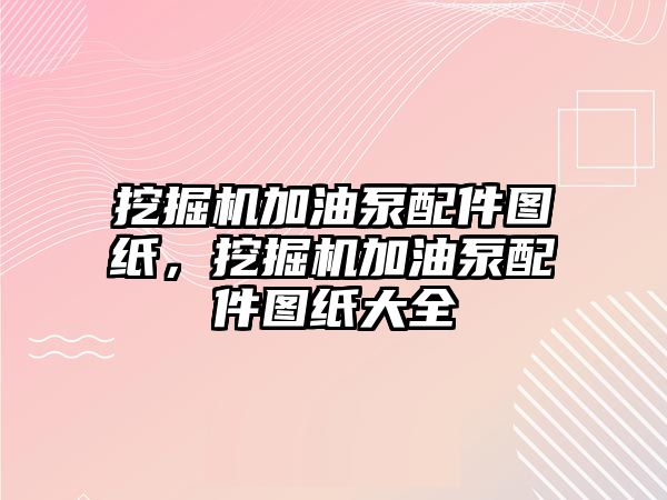 挖掘機加油泵配件圖紙，挖掘機加油泵配件圖紙大全