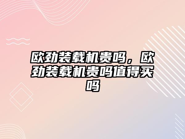 歐勁裝載機貴嗎，歐勁裝載機貴嗎值得買嗎