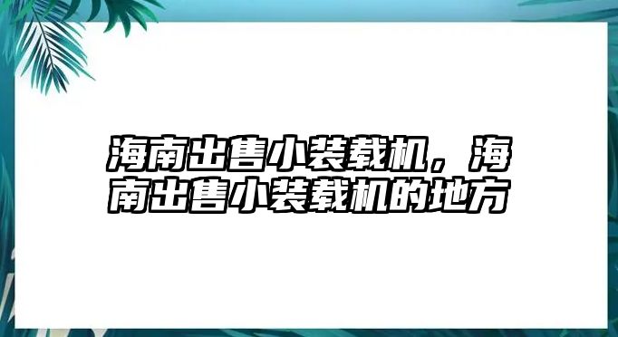 海南出售小裝載機，海南出售小裝載機的地方