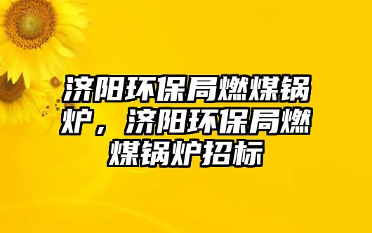 濟(jì)陽環(huán)保局燃煤鍋爐，濟(jì)陽環(huán)保局燃煤鍋爐招標(biāo)