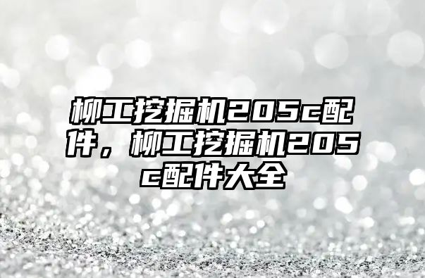 柳工挖掘機(jī)205c配件，柳工挖掘機(jī)205c配件大全