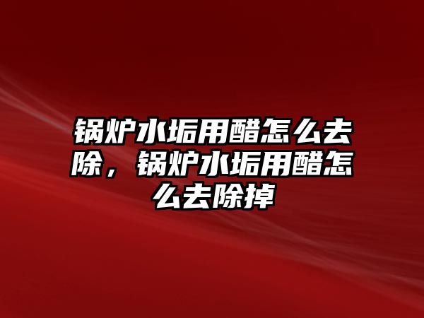 鍋爐水垢用醋怎么去除，鍋爐水垢用醋怎么去除掉