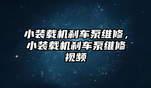 小裝載機(jī)剎車泵維修，小裝載機(jī)剎車泵維修視頻