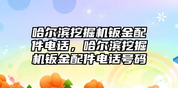 哈爾濱挖掘機(jī)鈑金配件電話，哈爾濱挖掘機(jī)鈑金配件電話號(hào)碼