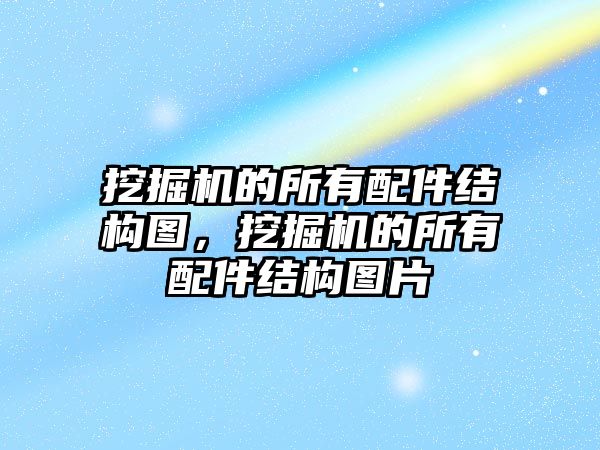 挖掘機的所有配件結(jié)構(gòu)圖，挖掘機的所有配件結(jié)構(gòu)圖片