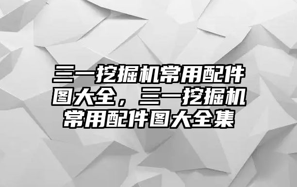 三一挖掘機(jī)常用配件圖大全，三一挖掘機(jī)常用配件圖大全集