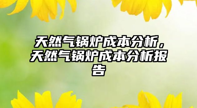 天然氣鍋爐成本分析，天然氣鍋爐成本分析報告