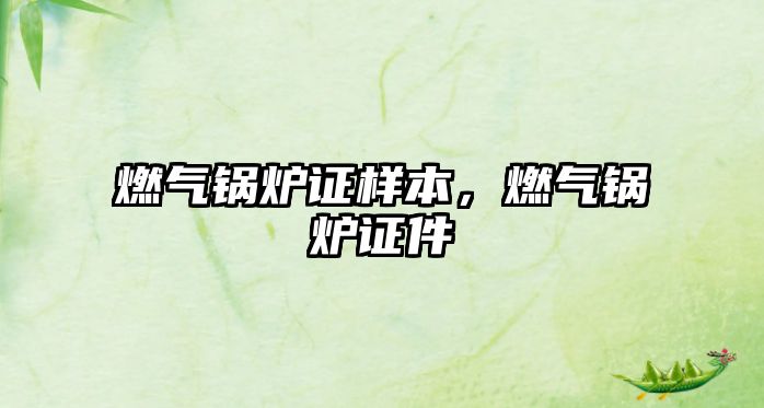 燃?xì)忮仩t證樣本，燃?xì)忮仩t證件