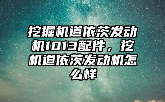 挖掘機道依茨發(fā)動機1013配件，挖機道依茨發(fā)動機怎么樣