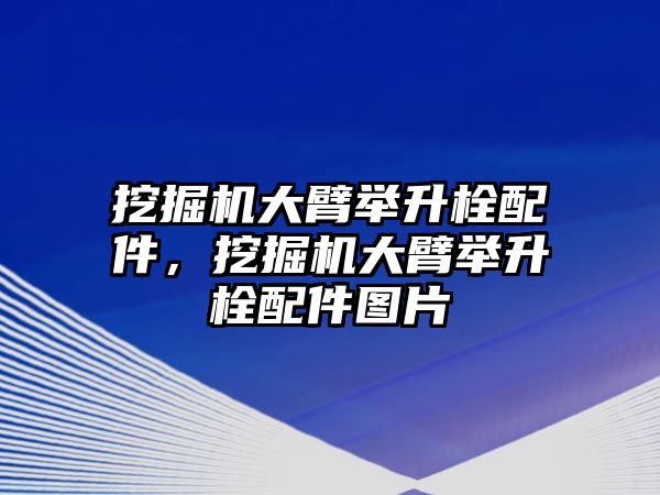 挖掘機(jī)大臂舉升栓配件，挖掘機(jī)大臂舉升栓配件圖片