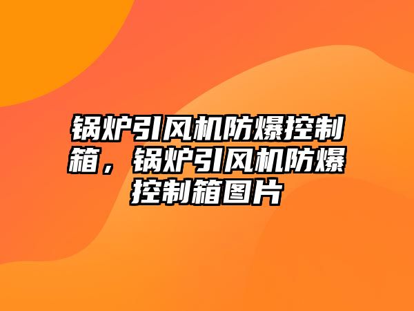 鍋爐引風(fēng)機(jī)防爆控制箱，鍋爐引風(fēng)機(jī)防爆控制箱圖片