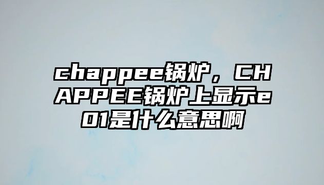 chappee鍋爐，CHAPPEE鍋爐上顯示e01是什么意思啊