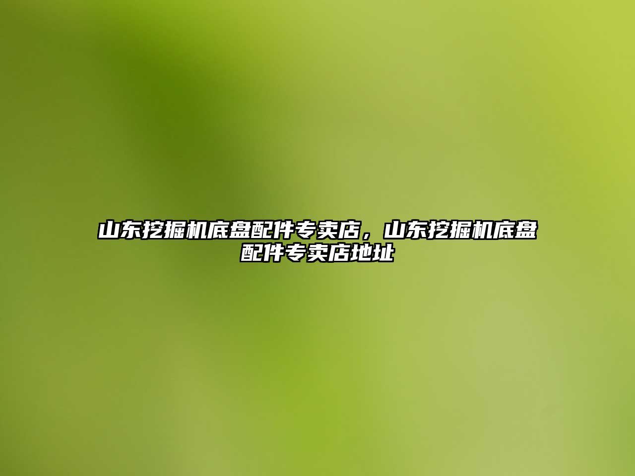 山東挖掘機底盤配件專賣店，山東挖掘機底盤配件專賣店地址