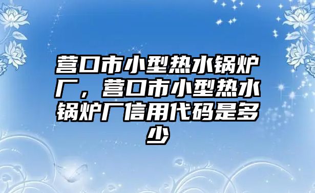 營口市小型熱水鍋爐廠，營口市小型熱水鍋爐廠信用代碼是多少