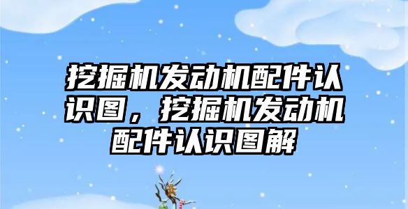 挖掘機發(fā)動機配件認識圖，挖掘機發(fā)動機配件認識圖解