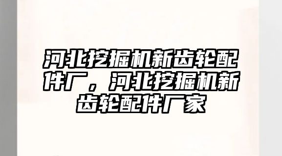 河北挖掘機(jī)新齒輪配件廠，河北挖掘機(jī)新齒輪配件廠家