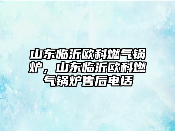 山東臨沂歐科燃?xì)忮仩t，山東臨沂歐科燃?xì)忮仩t售后電話(huà)