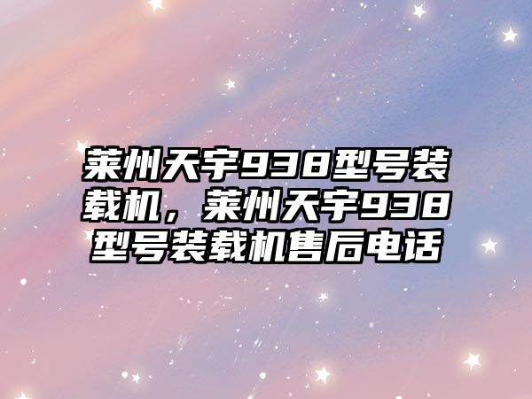 萊州天宇938型號裝載機(jī)，萊州天宇938型號裝載機(jī)售后電話