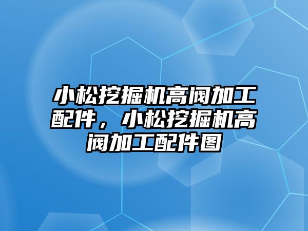 小松挖掘機(jī)高閥加工配件，小松挖掘機(jī)高閥加工配件圖