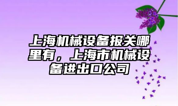 上海機械設(shè)備報關(guān)哪里有，上海市機械設(shè)備進出口公司