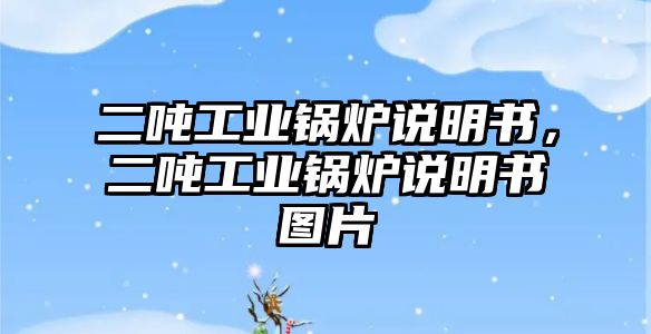 二噸工業(yè)鍋爐說(shuō)明書，二噸工業(yè)鍋爐說(shuō)明書圖片