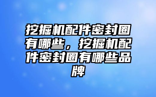 挖掘機(jī)配件密封圈有哪些，挖掘機(jī)配件密封圈有哪些品牌