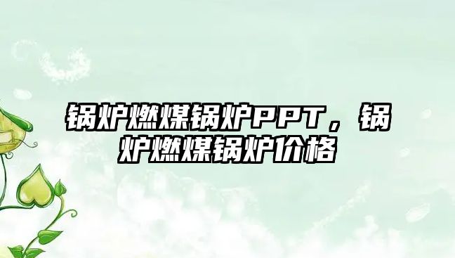 鍋爐燃煤鍋爐PPT，鍋爐燃煤鍋爐價(jià)格