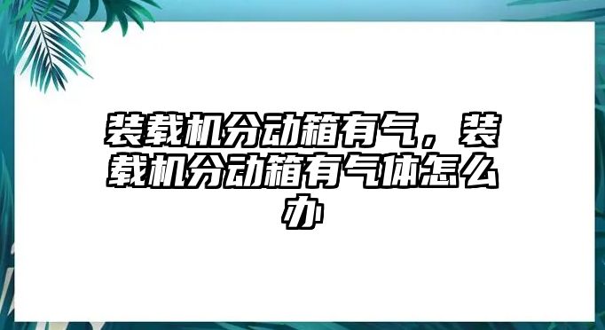 裝載機(jī)分動(dòng)箱有氣，裝載機(jī)分動(dòng)箱有氣體怎么辦