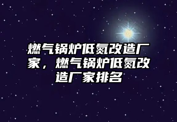 燃?xì)忮仩t低氮改造廠家，燃?xì)忮仩t低氮改造廠家排名