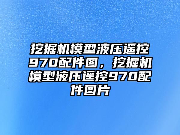 挖掘機(jī)模型液壓遙控970配件圖，挖掘機(jī)模型液壓遙控970配件圖片