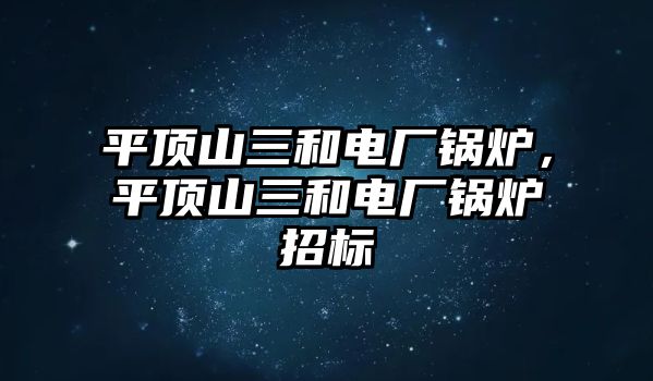 平頂山三和電廠鍋爐，平頂山三和電廠鍋爐招標(biāo)