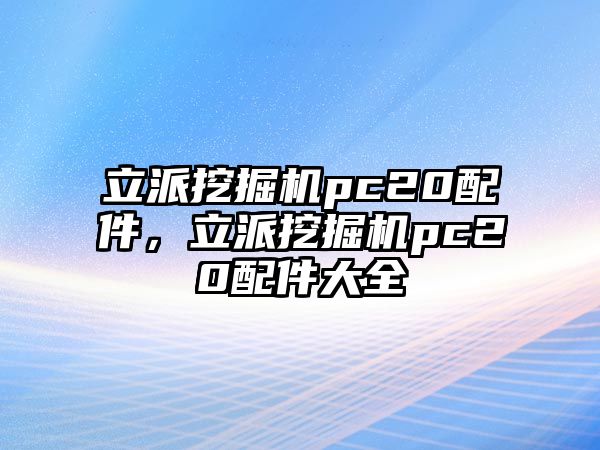 立派挖掘機(jī)pc20配件，立派挖掘機(jī)pc20配件大全