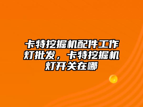 卡特挖掘機配件工作燈批發(fā)，卡特挖掘機燈開關在哪