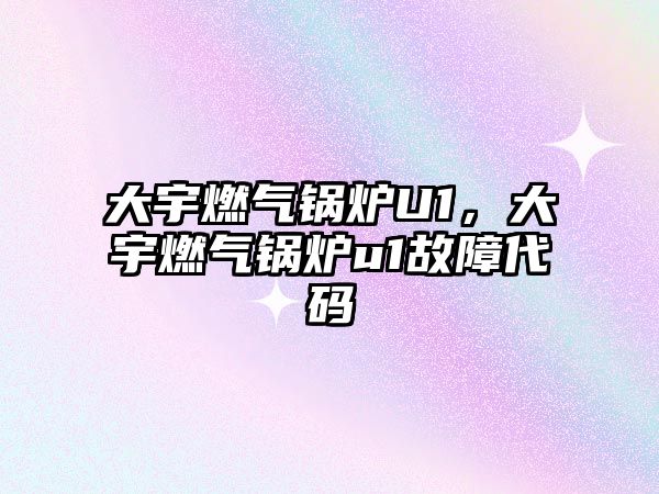 大宇燃?xì)忮仩tU1，大宇燃?xì)忮仩tu1故障代碼